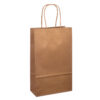 Small Kraft Brown Twist Handle Bag