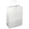 Elevate Your Gifting With Bulk Paper Gift Bags!