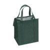 Promotional Reusable Custom Logo Non Woven Insulated Cooler Bag for Food