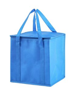 Top 10 Thermal Bags for 2024: Keeping Food Fresh and Beverages Cool on the Go!