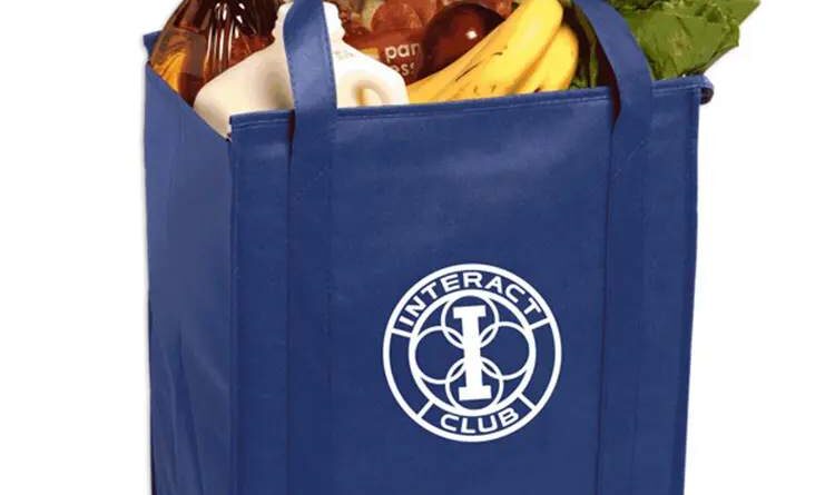 Insulated Grocery Tote & Thermo Insulated Tote-worldwide bags