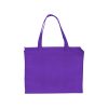 Non-Woven Polypropylene Reusable Bags