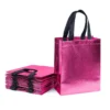 Holiday Campaigns: Designing Limited-Edition Laminated Bags That Get Collected!