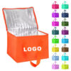 Lunch Bags That Are Stylish and Functional in 2024 (Yes, Really)!