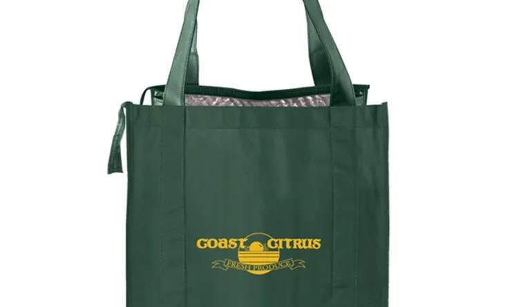 Non Woven Insulated Bag & Thermo Insulated Bag-worldwide bags