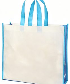 Wholesale Price Custom Printed Recycle Reusable Pp Laminated Non Woven Tote Shopping Bag