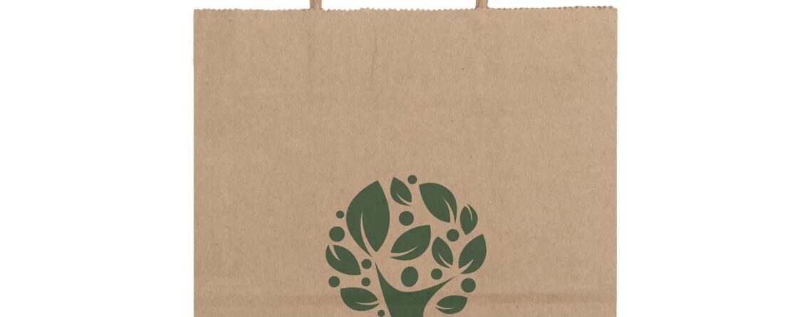 Promotional Brown Kraft Paper Shopping Bag-worldwide bags