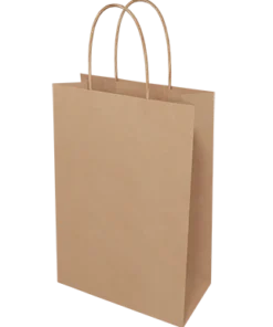 Brown Paper Bags - Junior