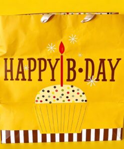 Happy Birthday Cupcake Pink Girls Gift Bag W/Handles Large 15”x15x10”