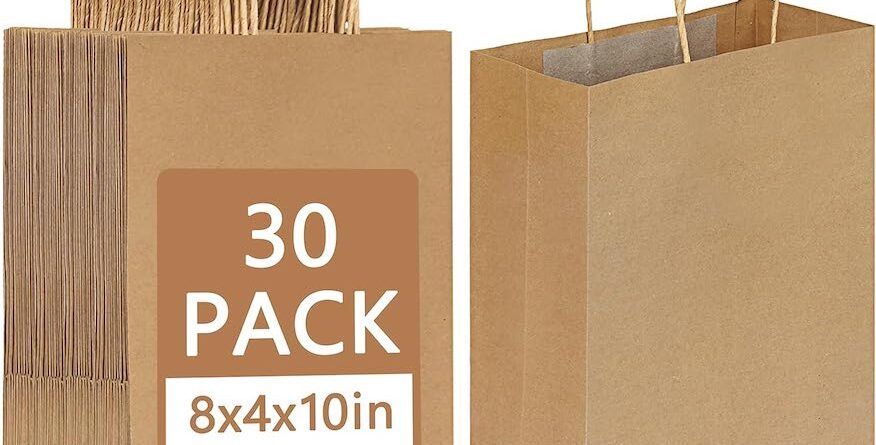 Brown Paper Gift Bags & Kraft Paper Shopping Bags-worldwide bags