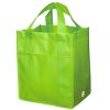 Non-Woven Carry All Bag