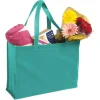 Can Reusable Supermarket Bags Replace Plastic Bags Completely?