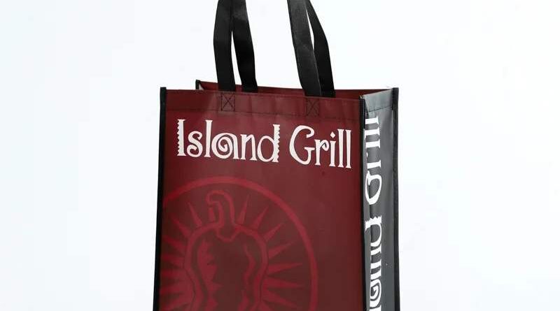 Reusable Small Shopping Bag & Grocery Shopping Bag-worldwide bags