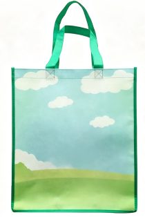 Eco-Friendly Reusable Factory RPET Shopping Bags Custom Logo Durable RPET & PP Woven Tote Bag Zipper Closure Storage