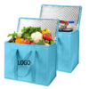 New Custom Hot Sale High Quality Luxury Insulated Picnic Cooler Bags