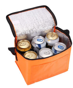 Wholesale Custom Logo Reusable Thermal Insulation Lunch Cooler Bag Small Non Woven Insulated Bag Six Can Capacity Promotional