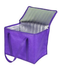 New Style Thermal Bag Non Woven Insulated Bag Zipper Cooler Bag with logo Custom