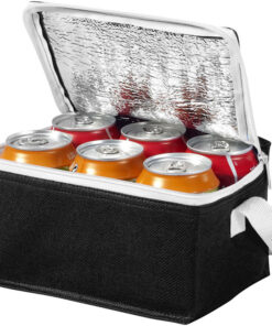 Custom Printed Waterproof Eco Friendly Small 6 Pack Drink Beer Non Woven Fabric Thermal Insulation Lunch Cooler Bags for Cans