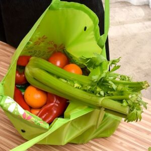 Eco-Friendly Reusable Shopping Bags-2