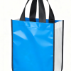 10 Best Fashion Shopping Bags and Accessories for Everyday Style!